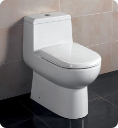 Antila One Piece Dual Flush Toilet with Soft Close Seat