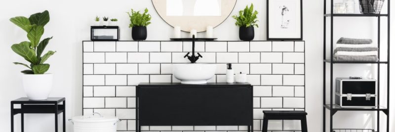 white bathroom with plants