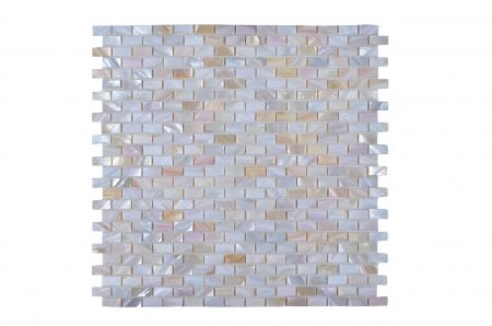 Seashell Mosaic Tile