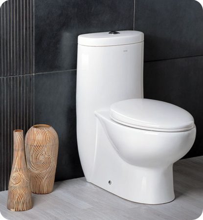 One Piece Dual Flush Toilet with Soft Close Seat