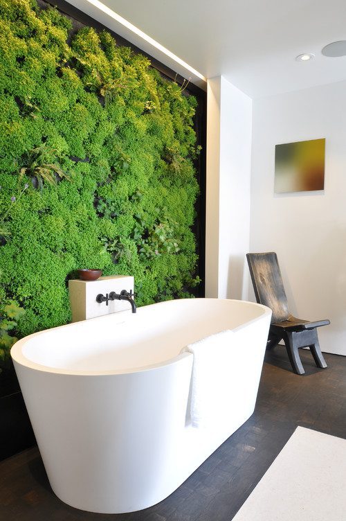 a-sacred-space-to-bathe-by-siol-and-habitat-horticulture-contemporary-bathroom-san-francisco
