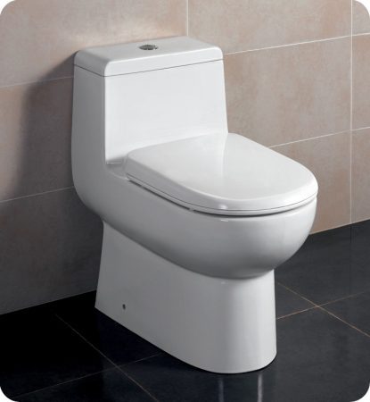 One Piece Dual Flush Toilet with Soft Close Seat